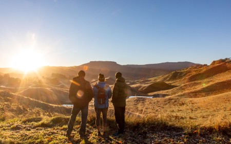 1.An Early Morning Walk in Pukeokahu