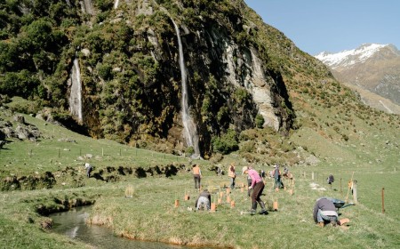 LW Community Planting Efforts